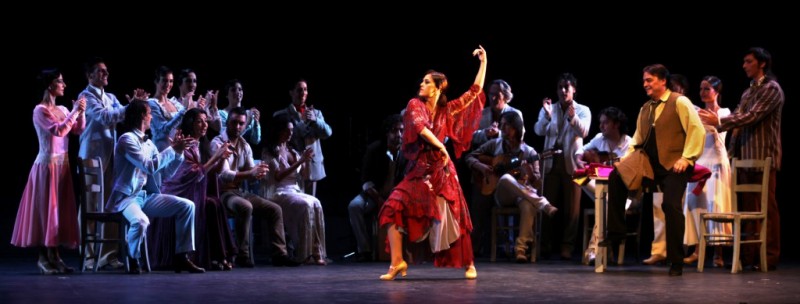 Херес-де-ла-Фронтера является настоящей колыбелью фламенко. Фламенко – это музыкальные и танцевальные традиции, которыми гордится город. В любое время: днем или ночью в Хересе можно насладиться настоящим фламенко, а если вы посетите традиционный фестиваль фламенко, вы наверняка забудете, в каком веке находитесь